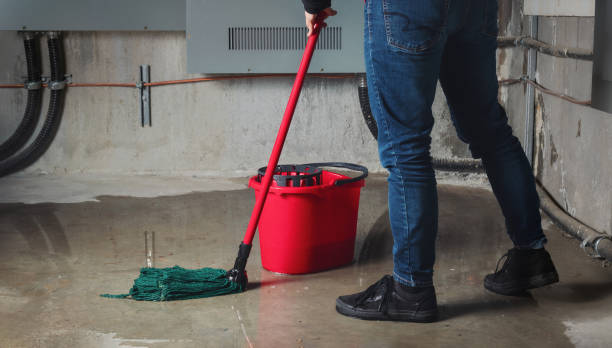 Best Mold removal after water damage  in Springfield, OH