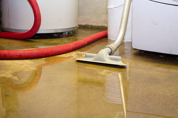 Best Water damage restoration near me  in Springfield, OH