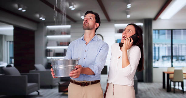 Best Commercial water damage restoration  in Springfield, OH